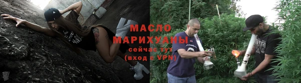 шишки Горно-Алтайск