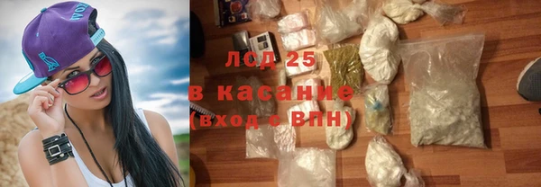 ECSTASY Горняк