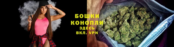 ECSTASY Горняк