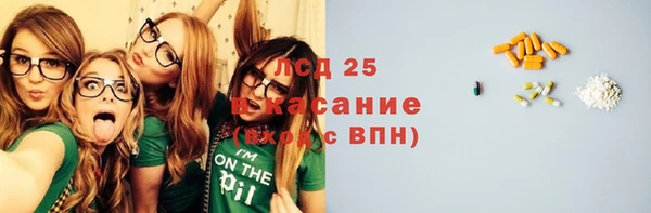 шишки Горно-Алтайск