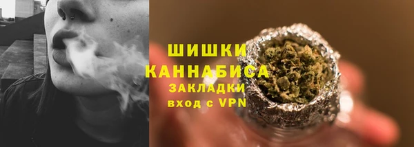 ECSTASY Горняк