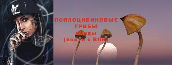 ECSTASY Горняк