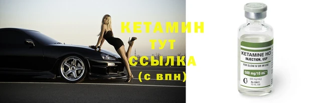 шишки Горно-Алтайск