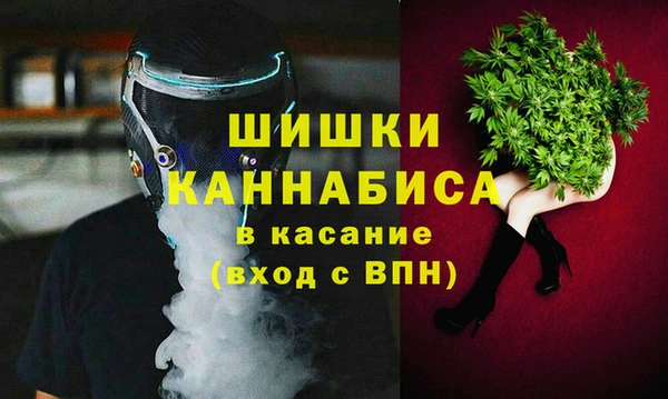 ECSTASY Горняк