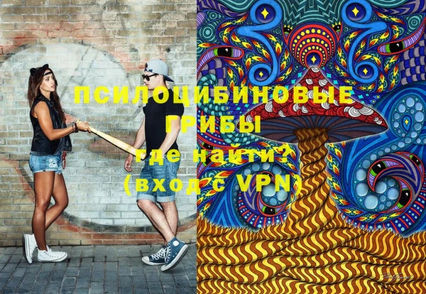 ECSTASY Горняк