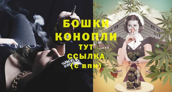 шишки Горно-Алтайск