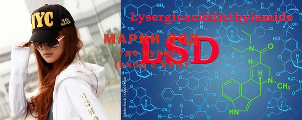 ECSTASY Горняк
