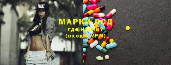 ECSTASY Горняк