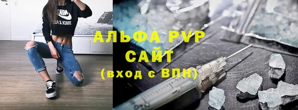 шишки Горно-Алтайск
