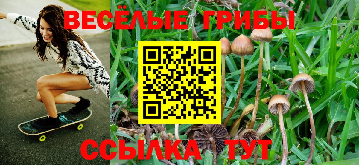 даркнет сайт  Галлюциногенные грибы GOLDEN TEACHER  Вход с VPN  Серпухов 